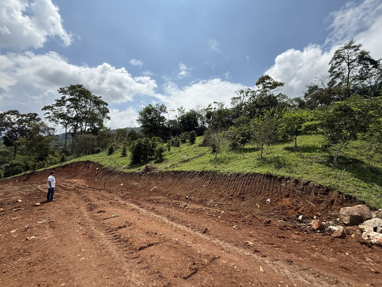 Plataforma de terreno nivelada para construcción, con talud de corte